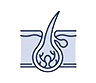 العناية بالشعر